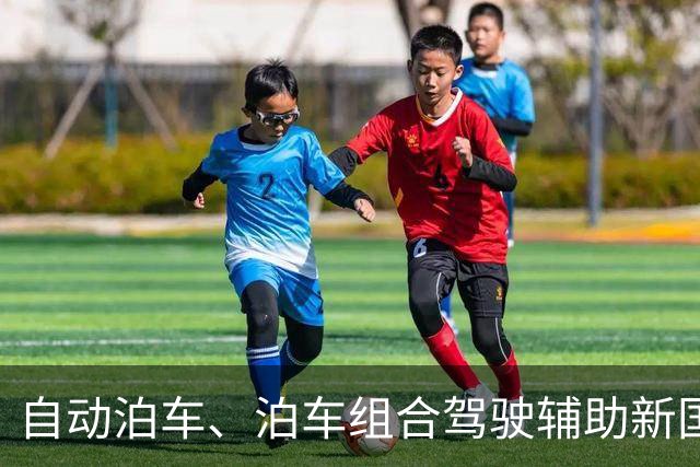 自动泊车、泊车组合驾驶辅助新国标将至，工信部征求意见稿明确各分级能力上限